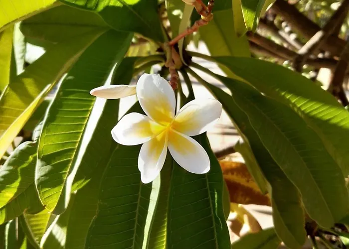 Andrea's House Prázdninový dům Liopetri